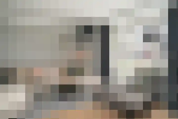 Brouwketel 66 Schijndel thumbnail 5