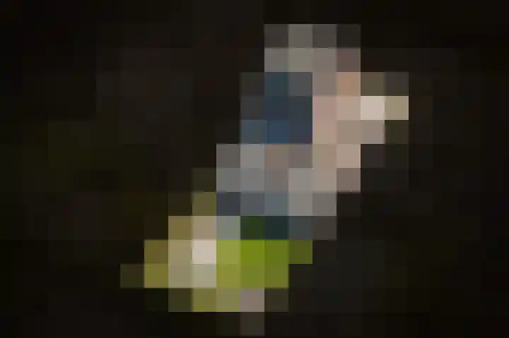 Brouwketel 66 Schijndel thumbnail 56
