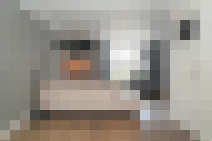Brouwketel 66 Schijndel thumbnail 8