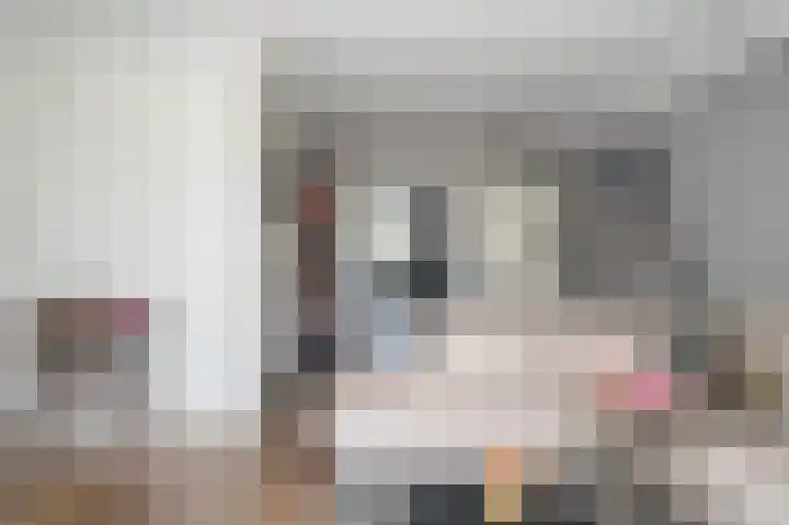 Brouwketel 66 Schijndel thumbnail 9