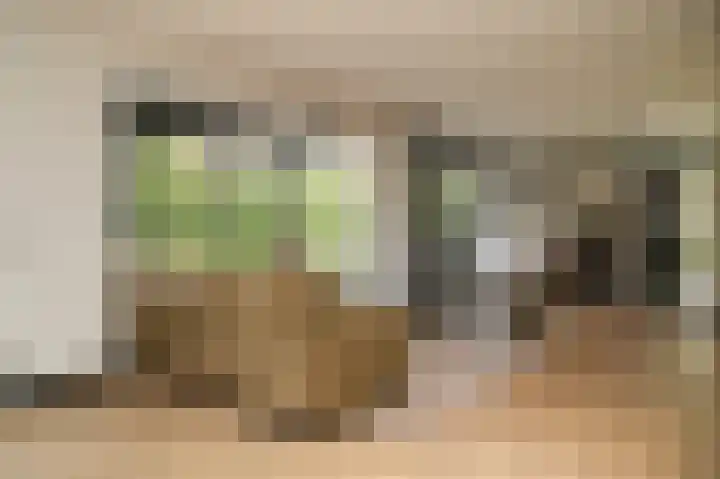 Brucestraat 11 Opijnen thumbnail 7