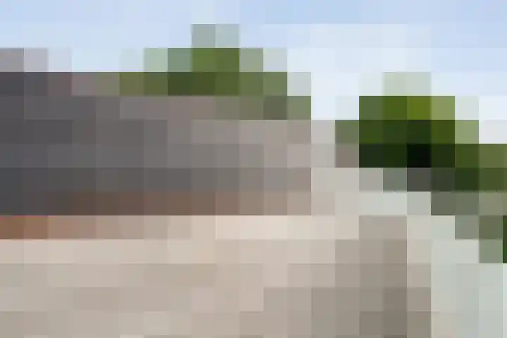 Bruchterweg 68 Hardenberg thumbnail 46