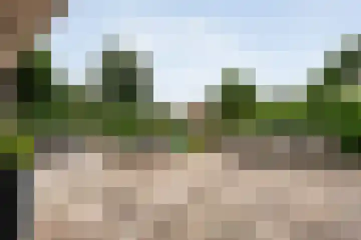 Bruchterweg 68 Hardenberg thumbnail 53