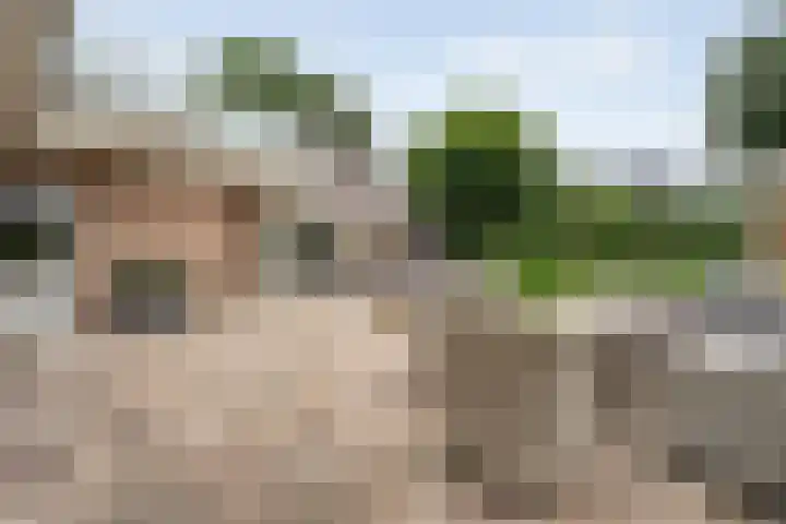 Bruchterweg 68 Hardenberg thumbnail 54