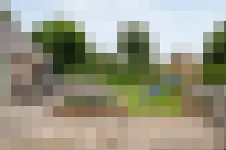 Bruchterweg 68 Hardenberg thumbnail 55