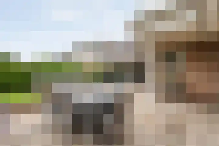Bruchterweg 68 Hardenberg thumbnail 58