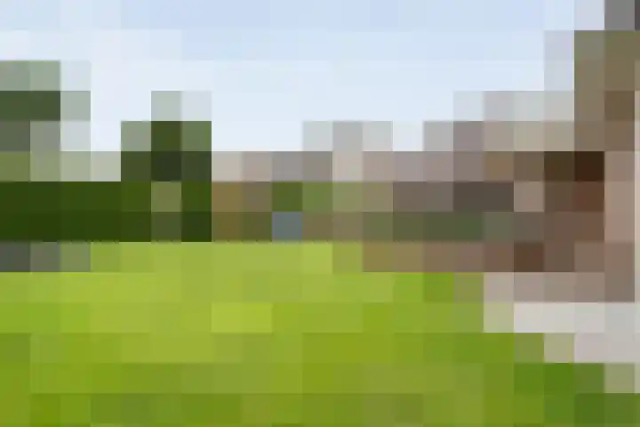 Bruchterweg 68 Hardenberg thumbnail 60