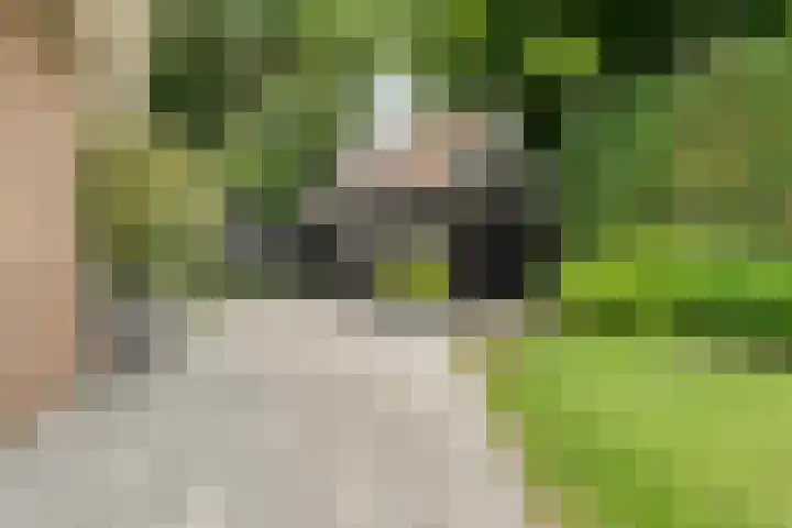 Bruchterweg 68 Hardenberg thumbnail 61