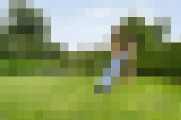 Bruchterweg 68 Hardenberg thumbnail 62