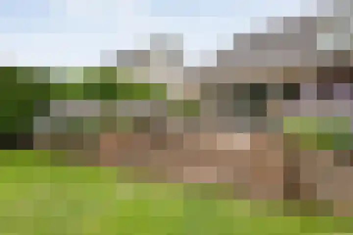 Bruchterweg 68 Hardenberg thumbnail 63