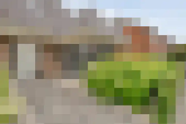 Bruchterweg 68 Hardenberg thumbnail 9