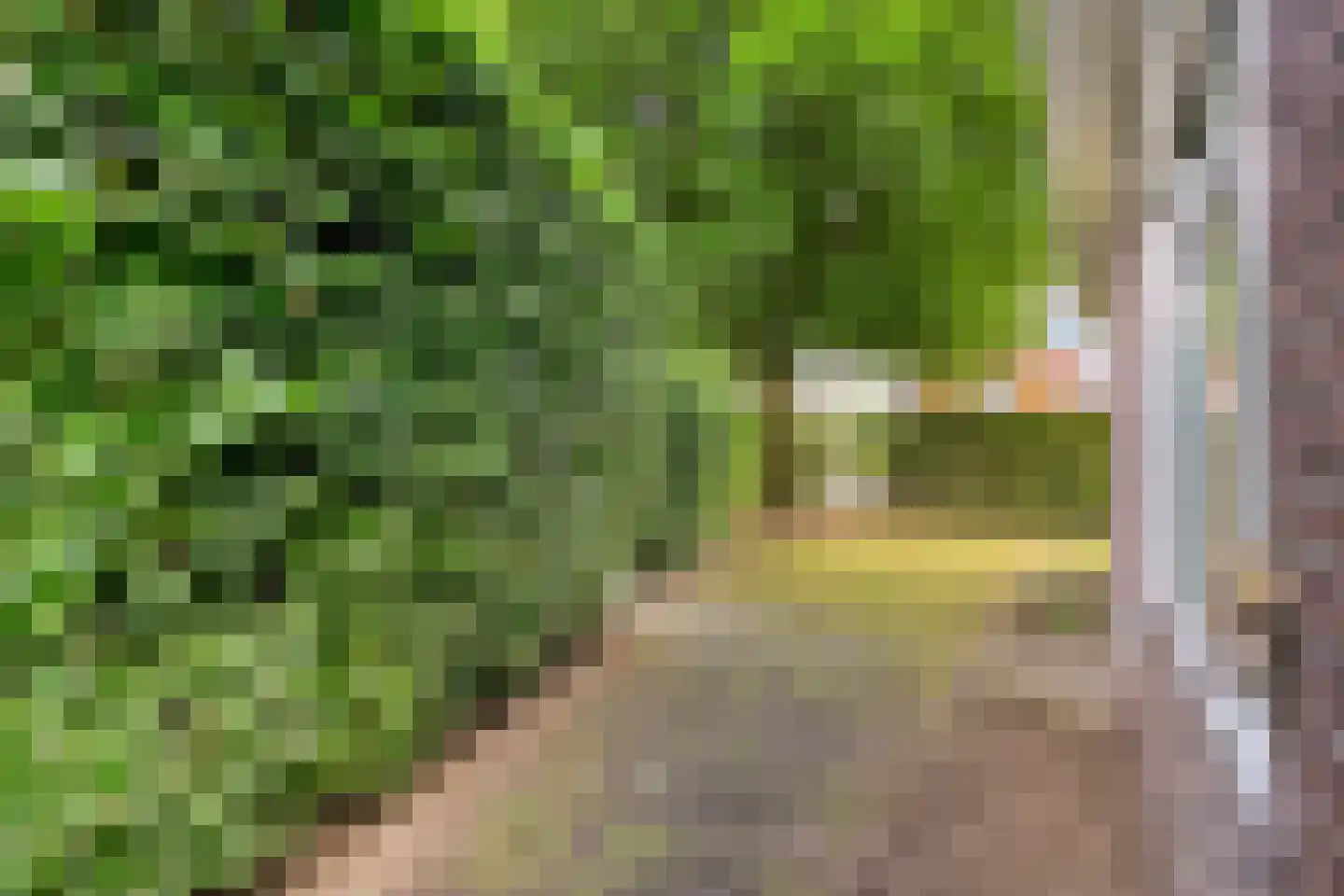 Bruchterweg 81 Hardenberg thumbnail 50