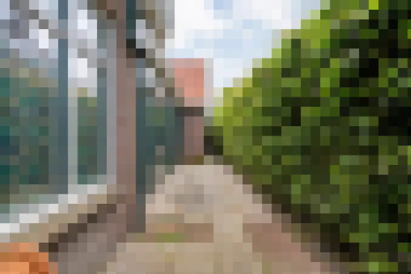 Bruchterweg 81 Hardenberg thumbnail 52