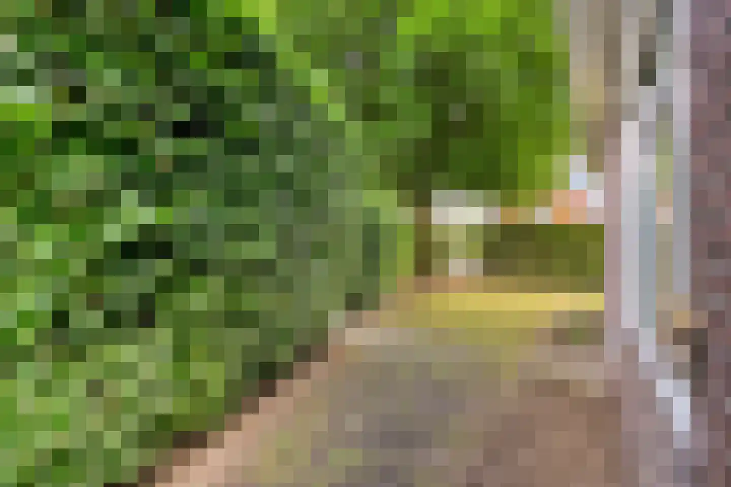 Bruchterweg 81 Hardenberg thumbnail 55