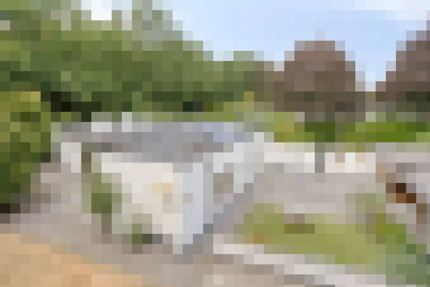 Brucknerlaan 1 b Roosendaal thumbnail 49