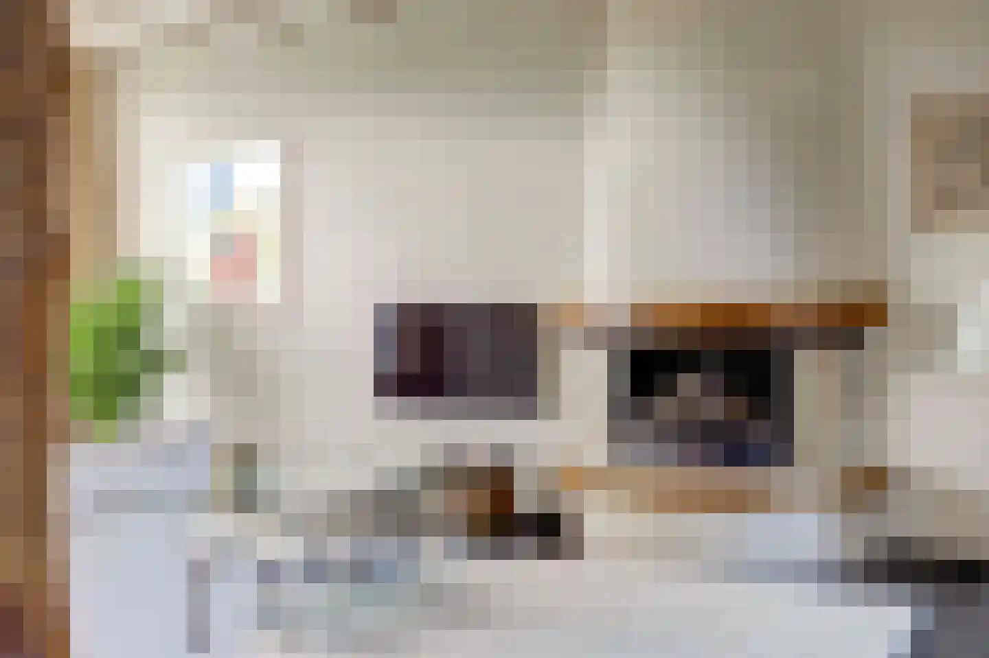 Brucknerlaan 2 Enschede thumbnail 11