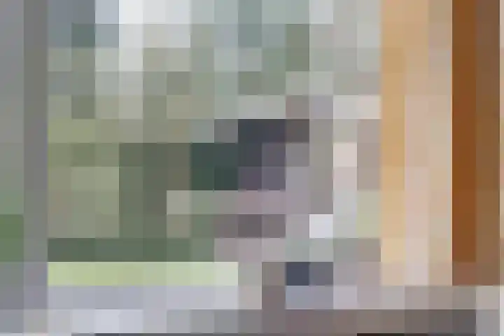 Brucknerlaan 2 Enschede thumbnail 19