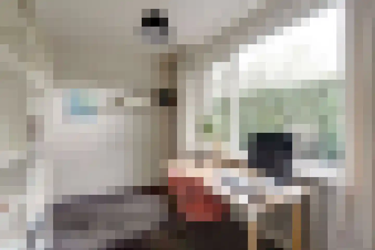 Brucknerlaan 2 Enschede thumbnail 23