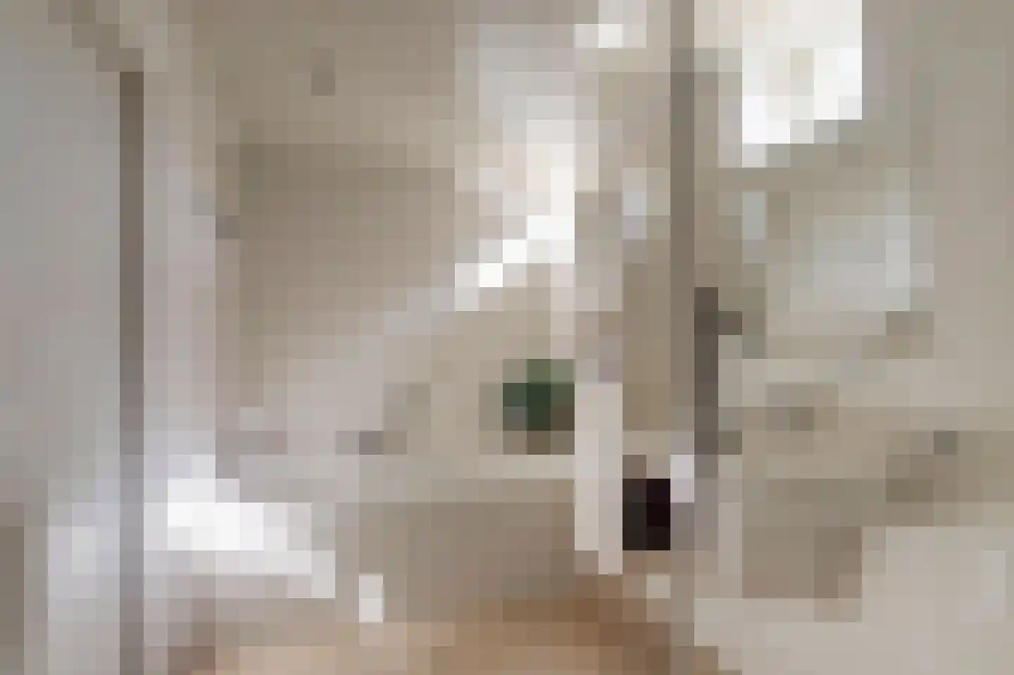 Brucknerlaan 2 Enschede thumbnail 38