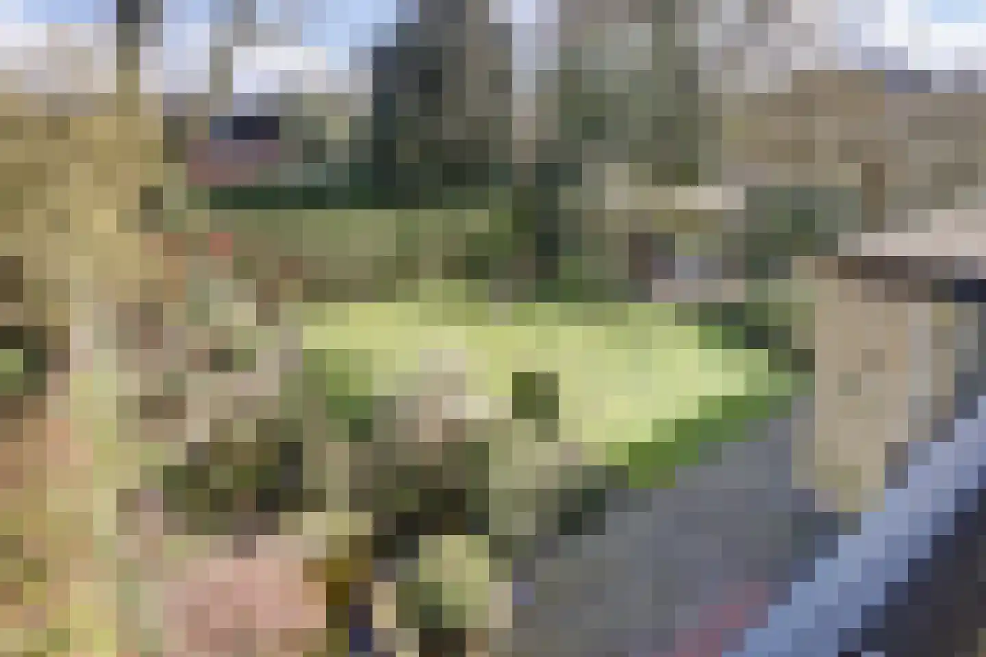 Brucknerlaan 2 Enschede thumbnail 4