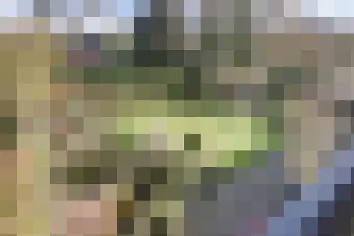 Brucknerlaan 2 Enschede thumbnail 4