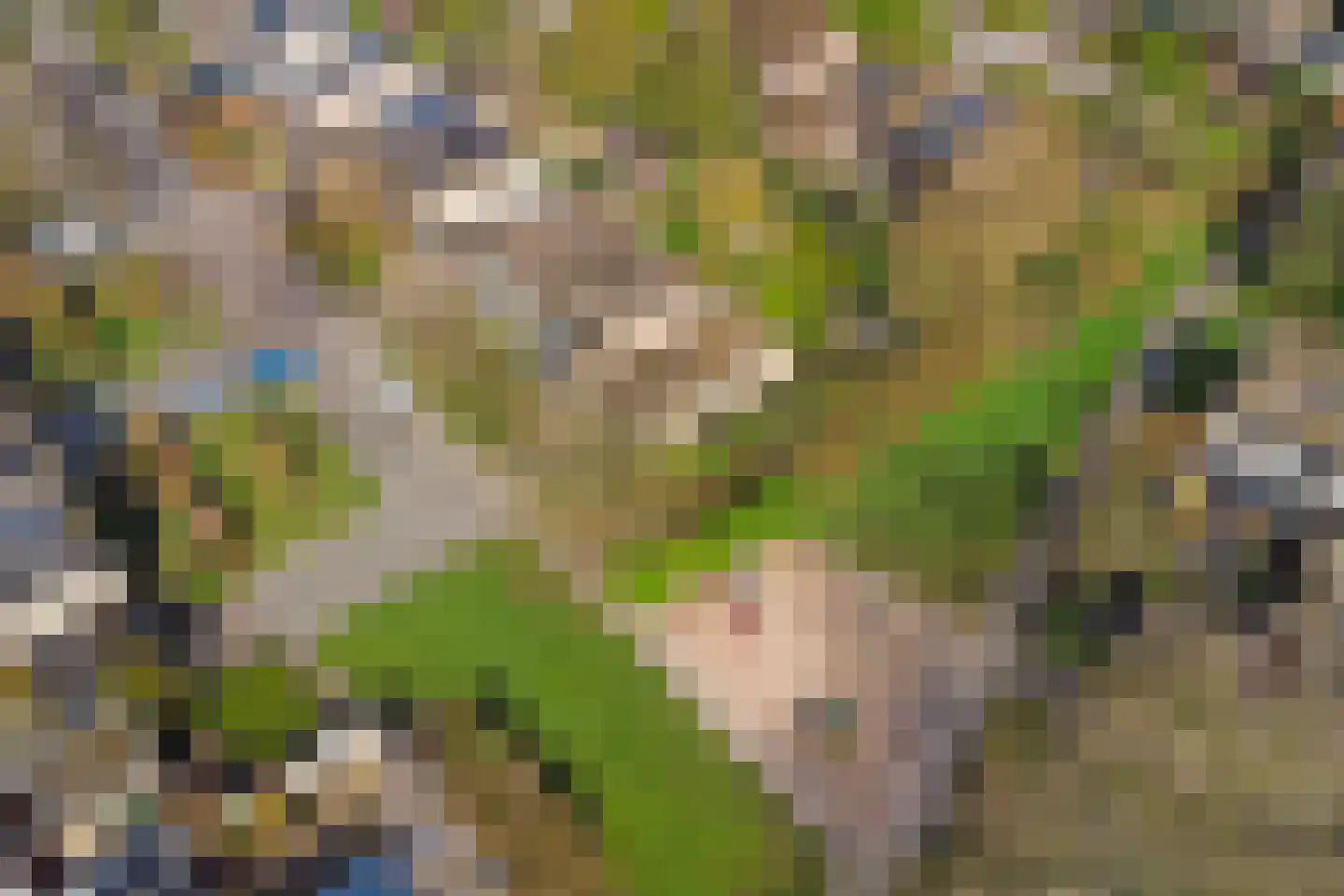 Brucknerlaan 2 Enschede thumbnail 5