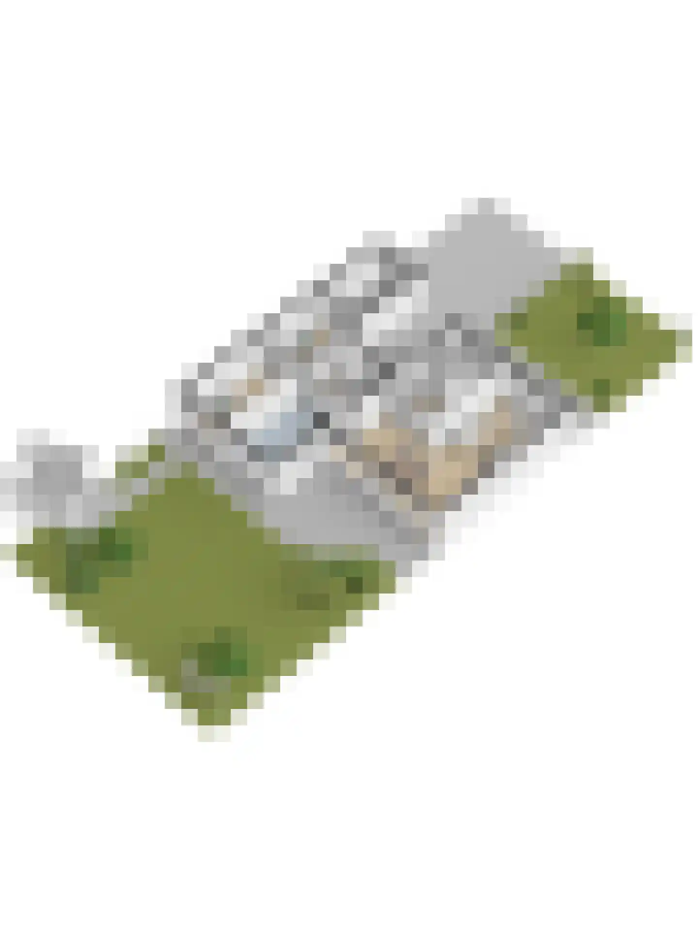 Brucknerlaan 2 Enschede thumbnail 57