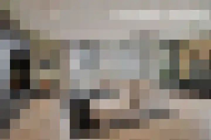 Brucknerlaan 270 Tilburg thumbnail 18