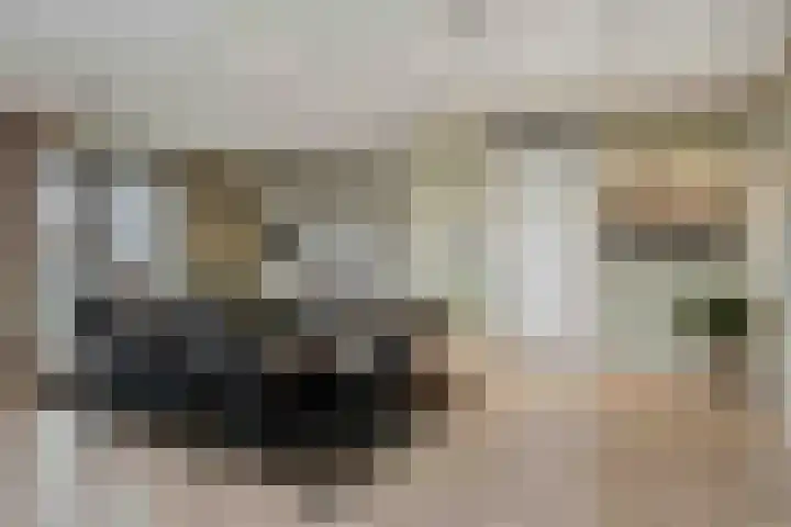 Brucknerlaan 270 Tilburg thumbnail 22