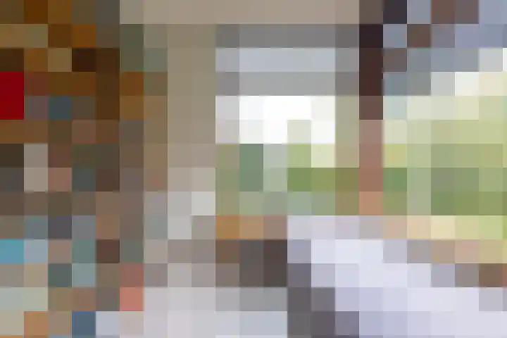 Brucknerlaan 4 Rotterdam thumbnail 11