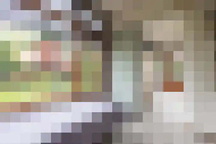 Brucknerlaan 4 Rotterdam thumbnail 12