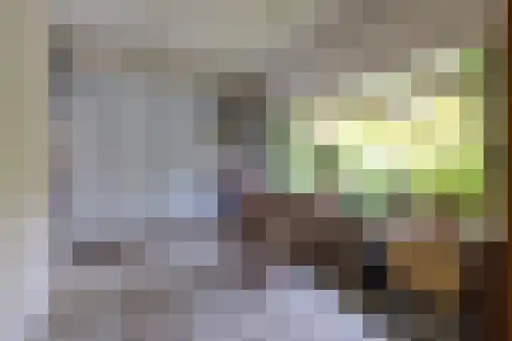 Brucknerlaan 4 Rotterdam thumbnail 13