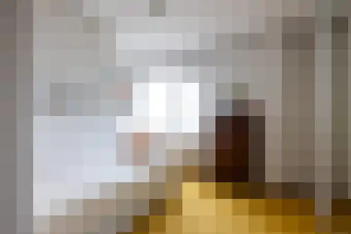 Brucknerlaan 4 Rotterdam thumbnail 16