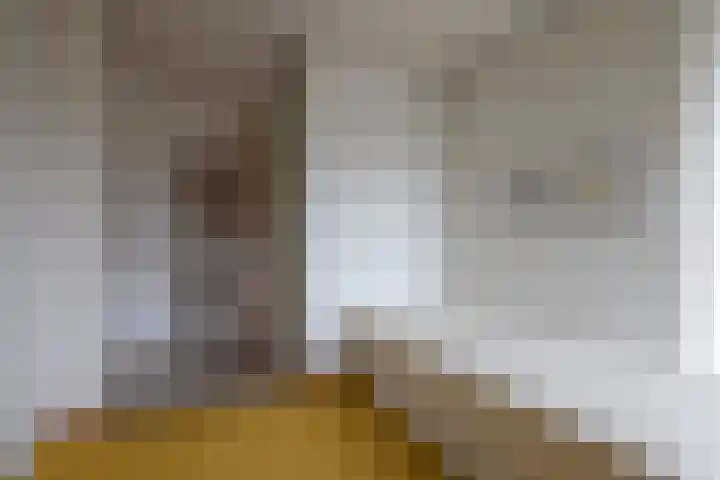 Brucknerlaan 4 Rotterdam thumbnail 17