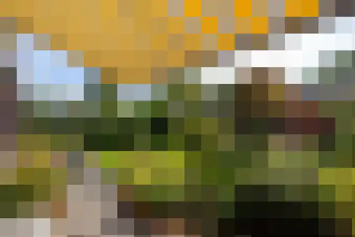 Brucknerlaan 4 Rotterdam thumbnail 33