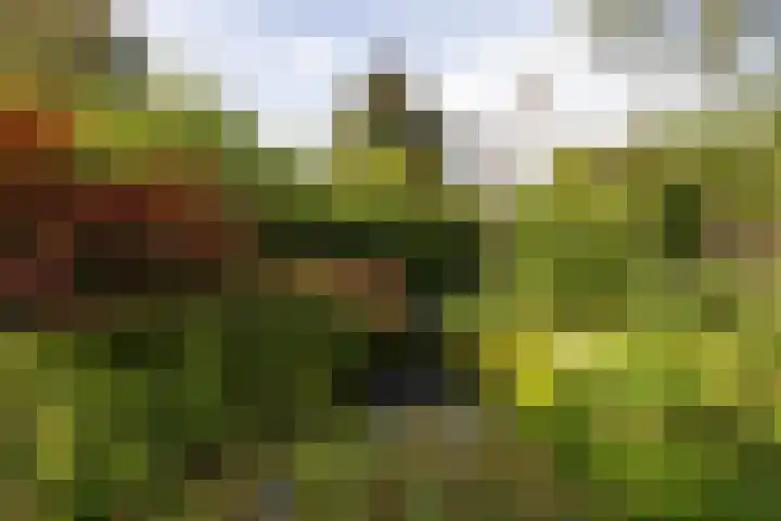 Brucknerlaan 4 Rotterdam thumbnail 34