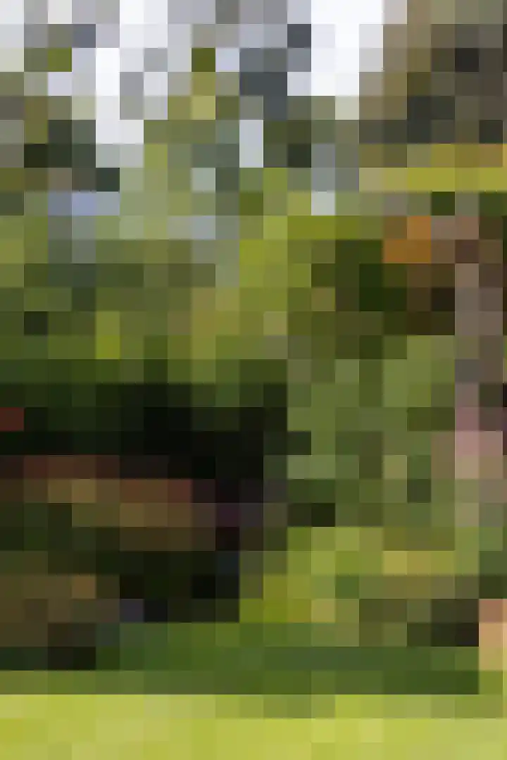 Brucknerlaan 4 Rotterdam thumbnail 36