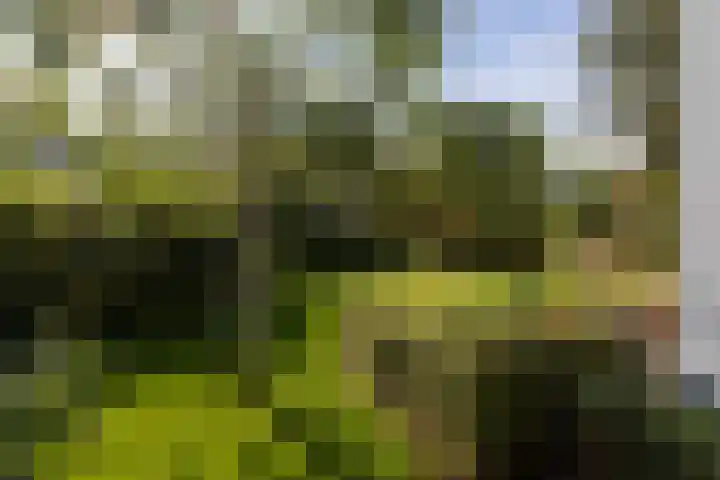 Brucknerlaan 4 Rotterdam thumbnail 37