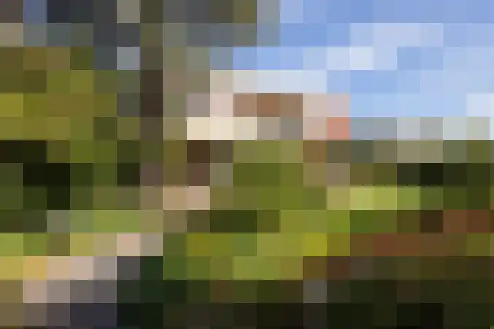 Brucknerlaan 4 Rotterdam thumbnail 38