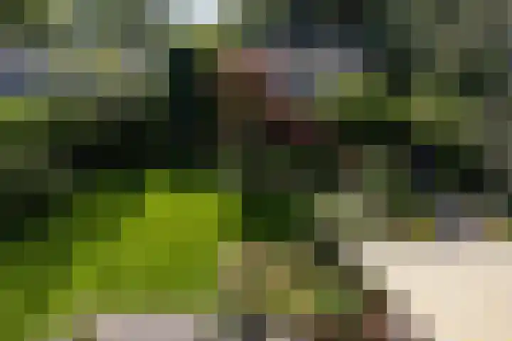 Brucknerlaan 4 Rotterdam thumbnail 41