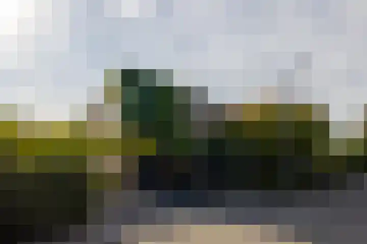 Brucknerlaan 4 Rotterdam thumbnail 43