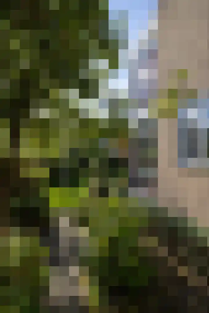 Brucknerlaan 4 Rotterdam thumbnail 44
