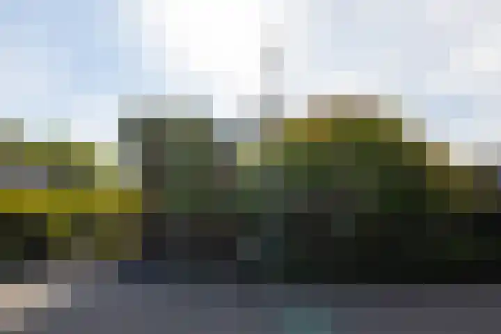 Brucknerlaan 4 Rotterdam thumbnail 5