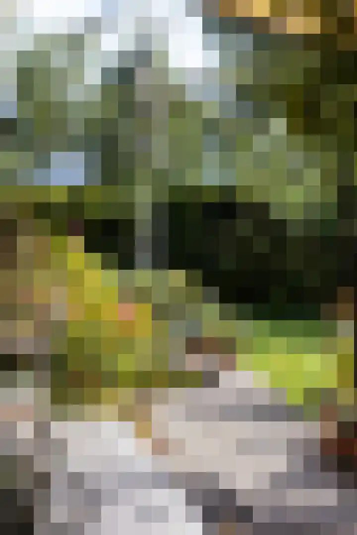 Brucknerlaan 4 Rotterdam thumbnail 6