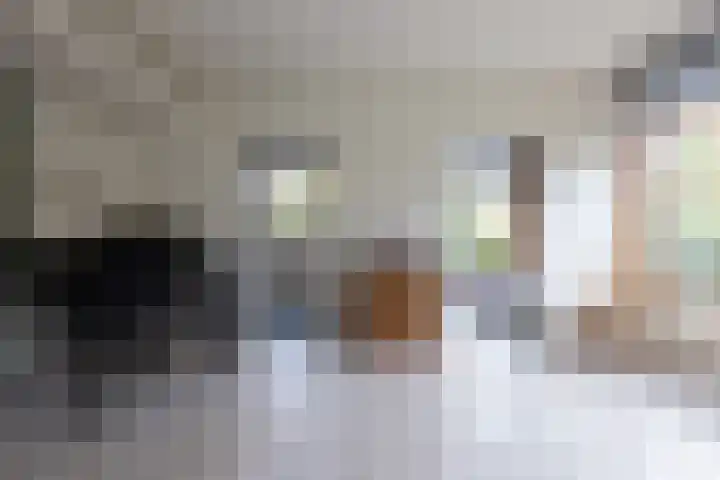 Brucknerlaan 4 Rotterdam thumbnail 8