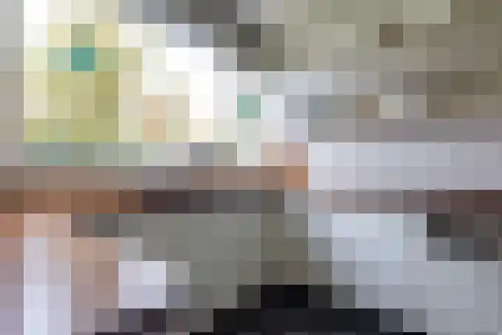 Brucknerlaan 4 Rotterdam thumbnail 9