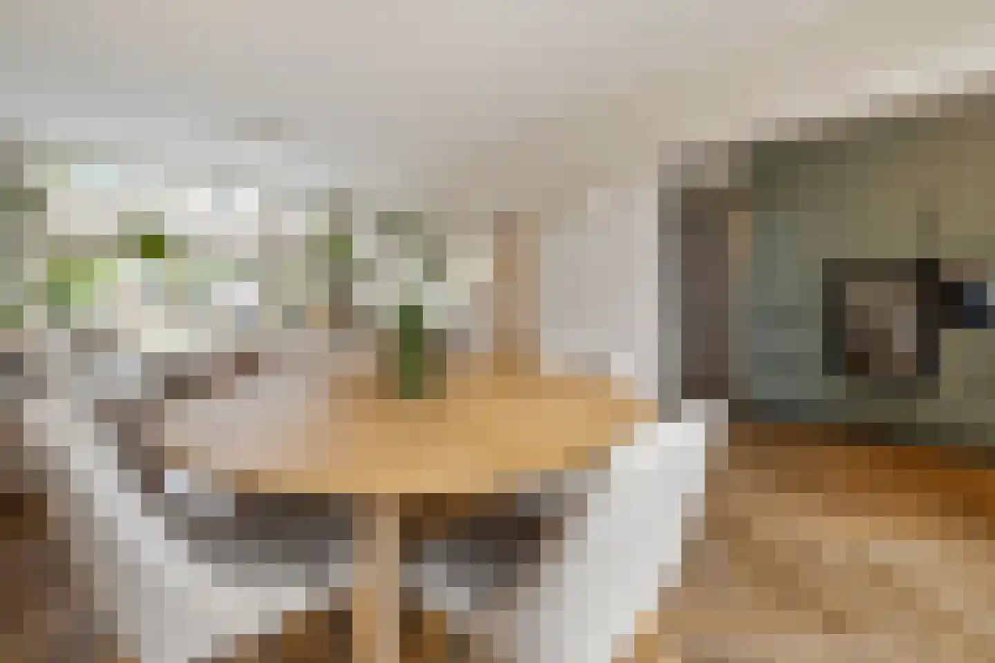 Brucknerlaan 45 Utrecht thumbnail 10