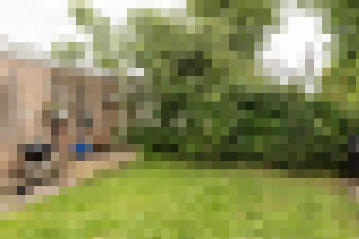 Brucknerlaan 45 Utrecht thumbnail 15
