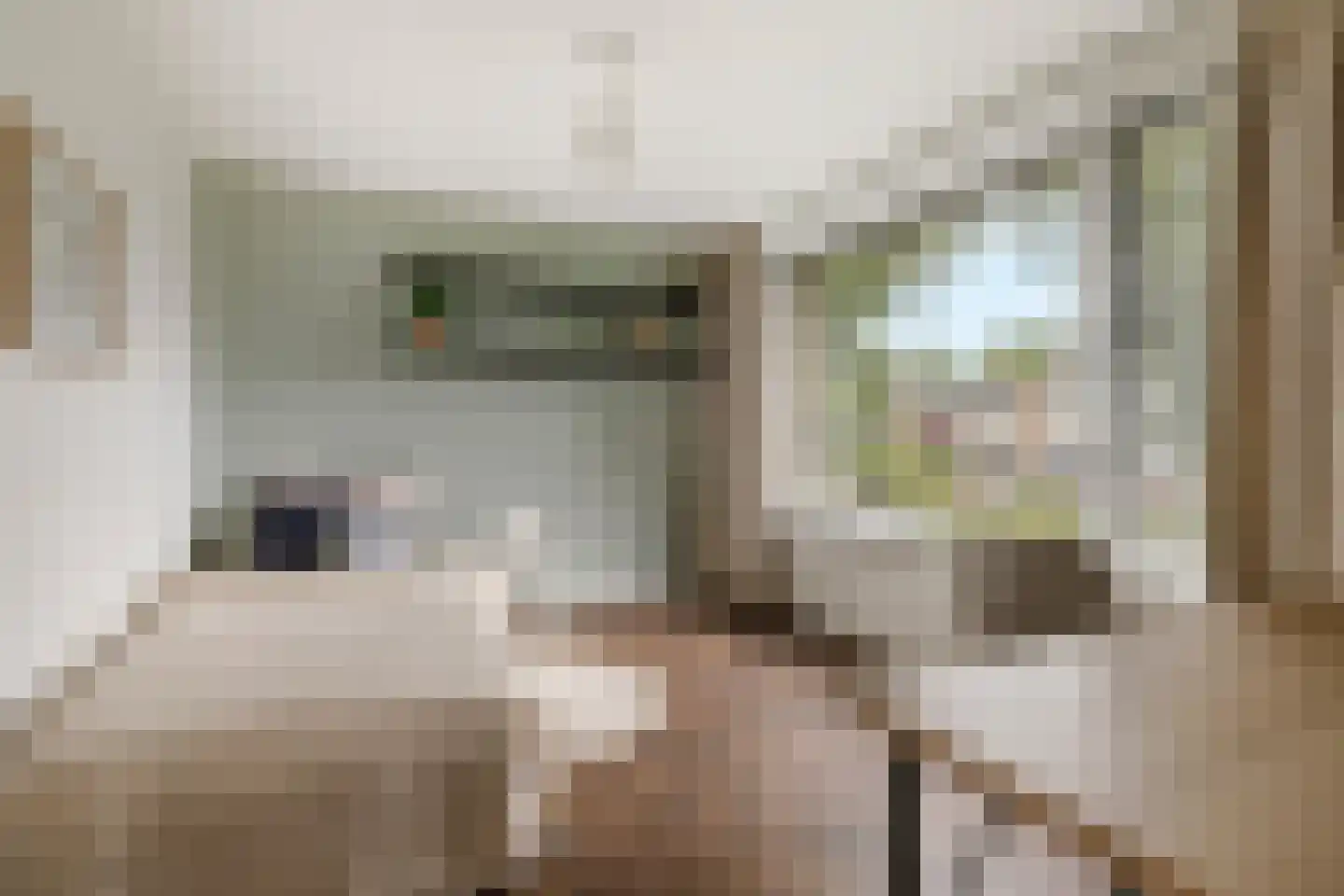 Brucknerlaan 45 Utrecht thumbnail 20
