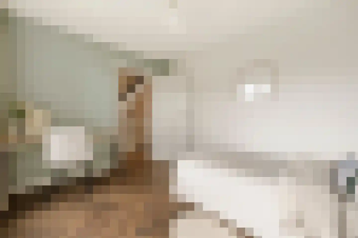 Brucknerlaan 45 Utrecht thumbnail 21